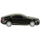 Radiovadāmā Automašīna, Bentley Continental GT (1:24)