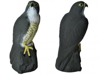 Dārza Putnubiedēklis Dzīvnieku Putnu Atbaidītājs, Piekūns | Garden Animal Bird Scarecrow Repeller, Falcon
