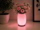 Decorative Table Lamp and Vase 2-in-1 LED RGB with Remote, Ecru