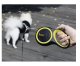 Automatic Retractable Dog Leash 5m/15kg Purlov 19788