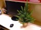 Small Artificial Christmas Tree 50cm Mini Tabletop Desk Decoration