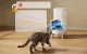 Petkit Yumshare SOLO 2 viedā barotava ar kameru