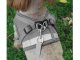 No-Pull Harness with Leash for Dogs and Cats, Reflective, XS, Grey