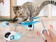 Интерактивная игрушка для кошек на пульте управления, USB-C