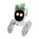 Adīts tērps Loona Premium robotam, Kaktuss