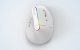 Беспроводная вертикальная мышь Delux M618C 2.4G 1600DPI RGB (белая)