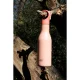 Joseph Joseph Loop Vacuum Insulated Water Bottle 500ml Coral