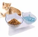 Dubultā Barības un Ūdens Bļoda Kaķiem | Double Bowl for Cats