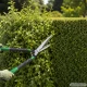 Telescopic Garden Shears for Hedges and Shrubs
