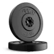 Svaru diski 4FIZJO 2 x 2,5 kg, 26 mm