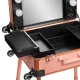 Переносная косметическая станция Activeshop T-27, розовое золото