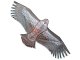 Flying Kite Eagle, 200cm