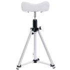 Azzurro 301 Alu Pedicure Footstool