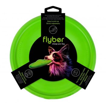 Double-sided Frisbee Disc Flyber Waudog 22 cm, light green