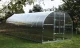 Теплица Кlasika 36 (3X12M) С Фундаментом И Покрытием Из Поликарбоната...