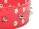 Adjustable Dog Collar with Studs, Faux Leather, XL