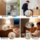 Умный датчик температуры и влажности Sonoff Zigbee LCD
