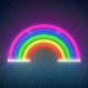 Неоновый светильник Радуга Forever Light FLNE14X с диммером USB декор для...