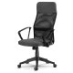 Ergonomic Mesh Office Chair Sofotel Sydney with High Back Support, Dark Gray