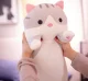 Плюшевая мягкая игрушка, подушка обнимашка, Кот Батон, 110см | Plush...