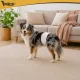 Purlov M-L Disposable Dog Diapers 46-60 cm 12 pcs
