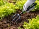 Garden Tool Set: Rake, Fork, Trowel + Bag