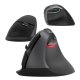 Bezvadu vertikālā pele Delux M618Mini DB BT+2.4G 2400DPI (melna) | Wireless Vertical Mouse (black)