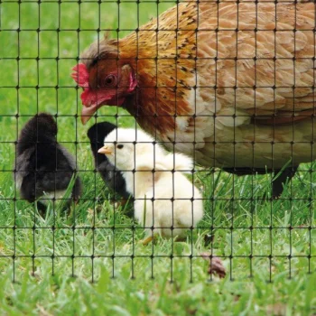 Многофункциональная пластиковая сетка AVIARY 2 x 200 м, черная