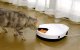 Automatic Pet Feeder with Cooling UBPet F10 5x330ml