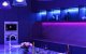 Smart Wi-Fi LED Strip Meross MSL320 2x5m RGB HomeKit