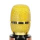 Bezvadu karaoke mikrofons bērniem ar Bluetooth skaļruni 2000mAh SD USB, zelta
