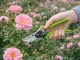 DIVODV Garden Pruning Shears for Branches and Shrubs, 22 cm, Green