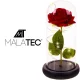 Светящаяся вечная роза в стеклянной колбе с LED Malatec 21619