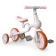 ECOTOYS 4-in-1 Kids Bike with Pedals and Training Wheels, Pink