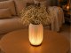 Decorative Table Lamp and Vase 2-in-1 LED RGB with Remote, Ecru