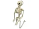 Piekaramais Cilvēka Skelets 40Cm Helovīna Dekorēšana Mākslīgais | Human Skeleton Hanging Halloween Decoration...