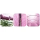 Plonos siltumnīcas plēve 2x3 m (6 m²), Rozā