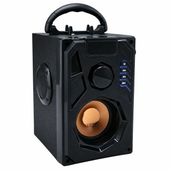 Портативная Bluetooth колонка с FM-радио и пультом для караоке, черная