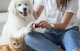 Electric Pet Nail Grinder Rojeco RMJQXF-05 2000mAh