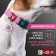 Waudog Классический ошейник для собак с QR-кодом размер M, Розовый | Dog...