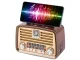 Portatīvs Skaļrunis Radio Fm Am Bluetooth ar Antenu | Speaker Mobile Radio