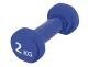 Чугунные гантели с виниловым покрытием 4Fizjo Classic, 2 x 2 кг, синие