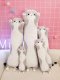 Plush Long Cat-shaped Hugging Pillow, 110cm