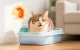 Растительный комкующийся наполнитель для кошачьего туалета Petkit...