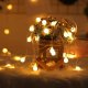 LED Globe String Lights 5ft 1.5m 10 LED USB for Balcony Patio, Warm White