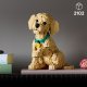 LEGO Icons 11384 Golden Retriever Puppy konstruktors