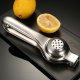 Manual Citrus Juicer