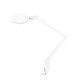Galda LED lampa ar lupu Glow 8021, 12W