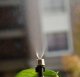 Ūdens miglas aizkars 10 m ar 11 smidzinātājiem, melns