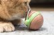 Cheerble Wicked Snail Interactive Ball Toy with Rope for Dog Cat